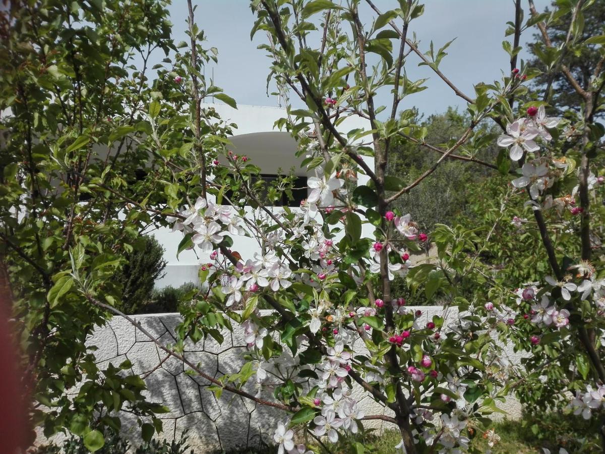 Kuca Za Odmor Maka Villa Kučiće Exteriör bild