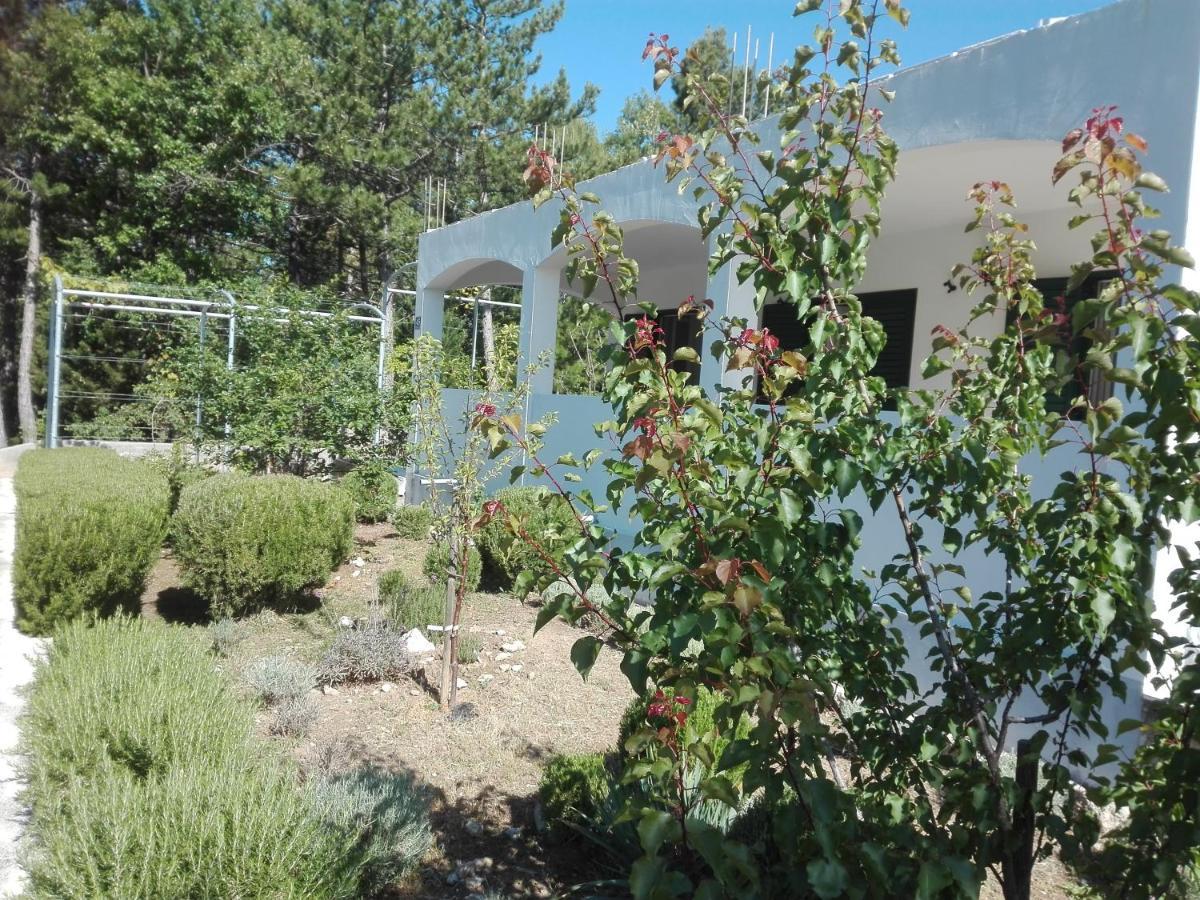 Kuca Za Odmor Maka Villa Kučiće Exteriör bild