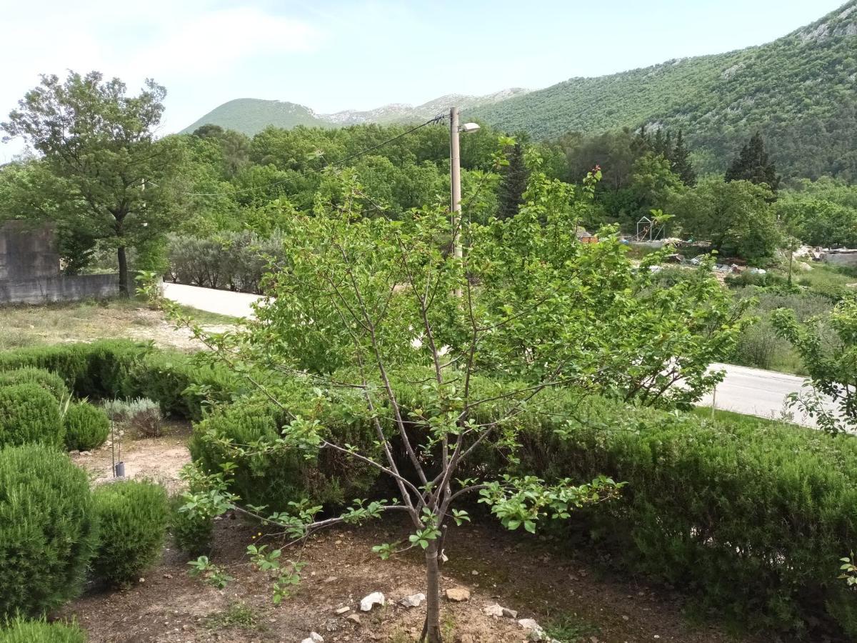 Kuca Za Odmor Maka Villa Kučiće Exteriör bild