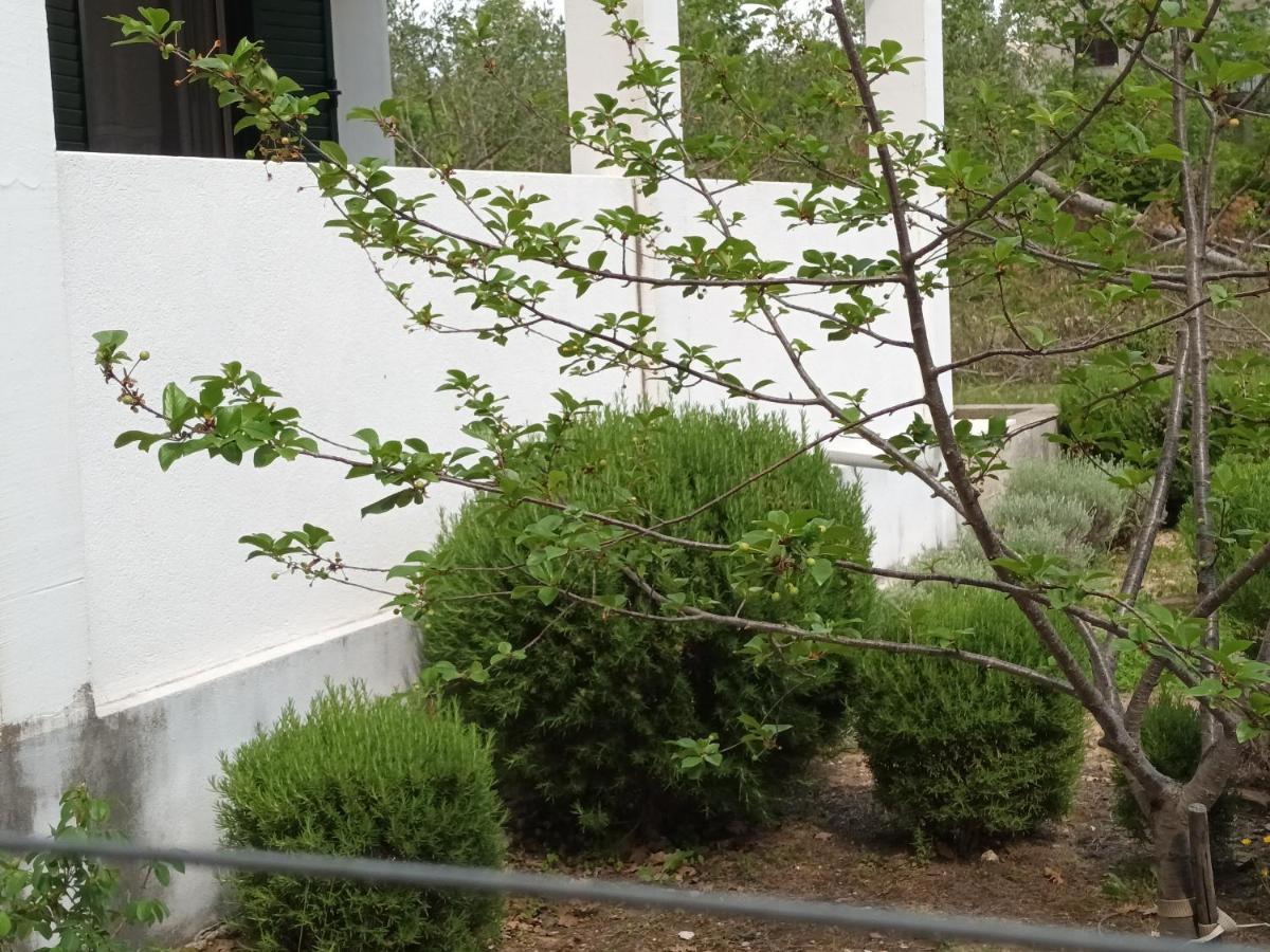 Kuca Za Odmor Maka Villa Kučiće Exteriör bild